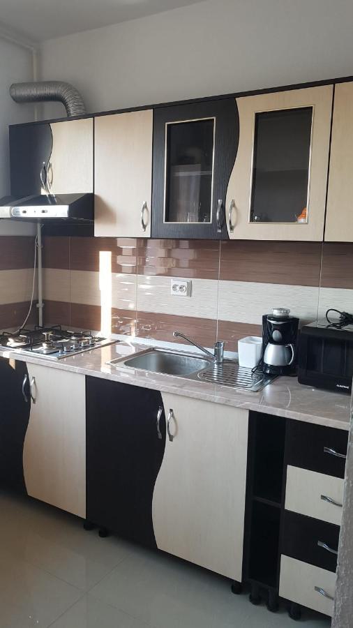 Apartament Teo Caransebeş Esterno foto